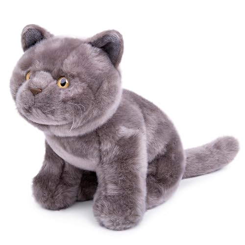 Tiny Heart Britische Kurzkatze Stofftier Plüschtier realistisches Britische Kurzkatze Plüsch schönes Tier niedliche und weiche Geschenke Katze für Kinder Jungen und Mädchen Spielzeug 11” grau C2 Tiny Heart Britische Kurzkatze Stofftier Plüschtier realistisches Britische Kurzkatze Plüsch schönes Tier niedliche und weiche Geschenke Katze für Kinder Jungen und Mädchen Spielzeug 11” grau C2 von Tiny Heart