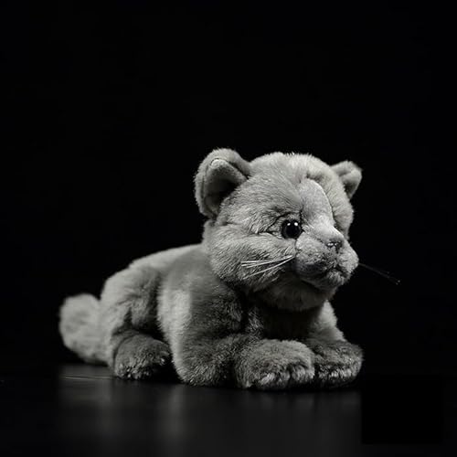 Tiny Heart Britische Kurzkatze Stofftier Plüschtier realistisches Britische Kurzkatze Plüsch schönes Tier niedliche und weiche Geschenke Katze für Kinder Jungen und Mädchen Spielzeug 8” grau C1 Tiny Heart Britische Kurzkatze Stofftier Plüschtier realistisches Britische Kurzkatze Plüsch schönes Tier niedliche und weiche Geschenke Katze für Kinder Jungen und Mädchen Spielzeug 8” grau C1 von Tiny Heart