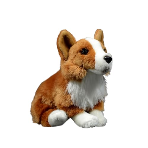 Tiny Heart Corgi-Hund Stofftier Plüschtier 30cm/12” realistisches Corgi-Hund Plüsch schönes Tier niedliche und weiche Geschenke Hund für Kinder Jungen und Mädchen Spielzeug braun von Tiny Heart