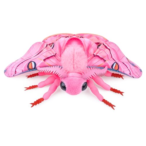 Tiny Heart Polyphonic Hawkmoth Plüschtier, Simulation Seidenraupenmotte Tierserie, Weiche Füllung, 11in/24 cm, Geeignet für Kinder und Naturliebhaber, Rosa Tiny Heart Polyphonic Hawkmoth Plüschtier, Simulation Seidenraupenmotte Tierserie, Weiche Füllung, 11in/24 cm, Geeignet für Kinder und Naturliebhaber, Rosa von Tiny Heart