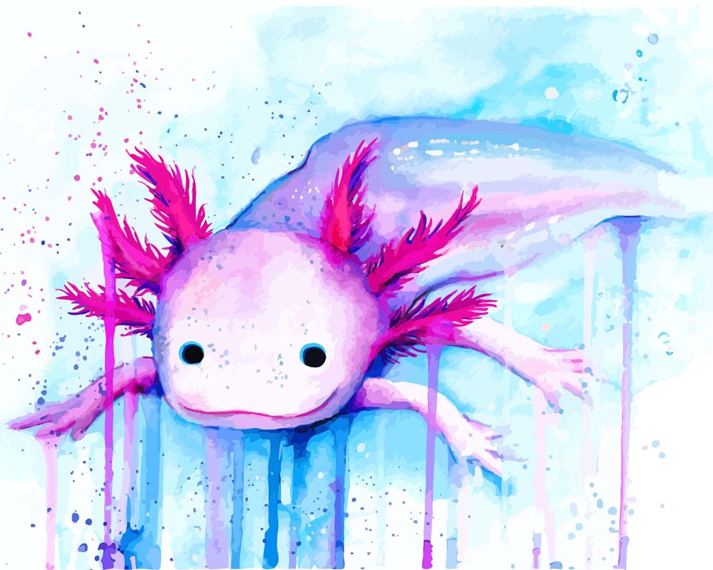 Malen nach Zahlen - Axolotl - by Tiny Tami, mit Rahmen von Tiny Tami