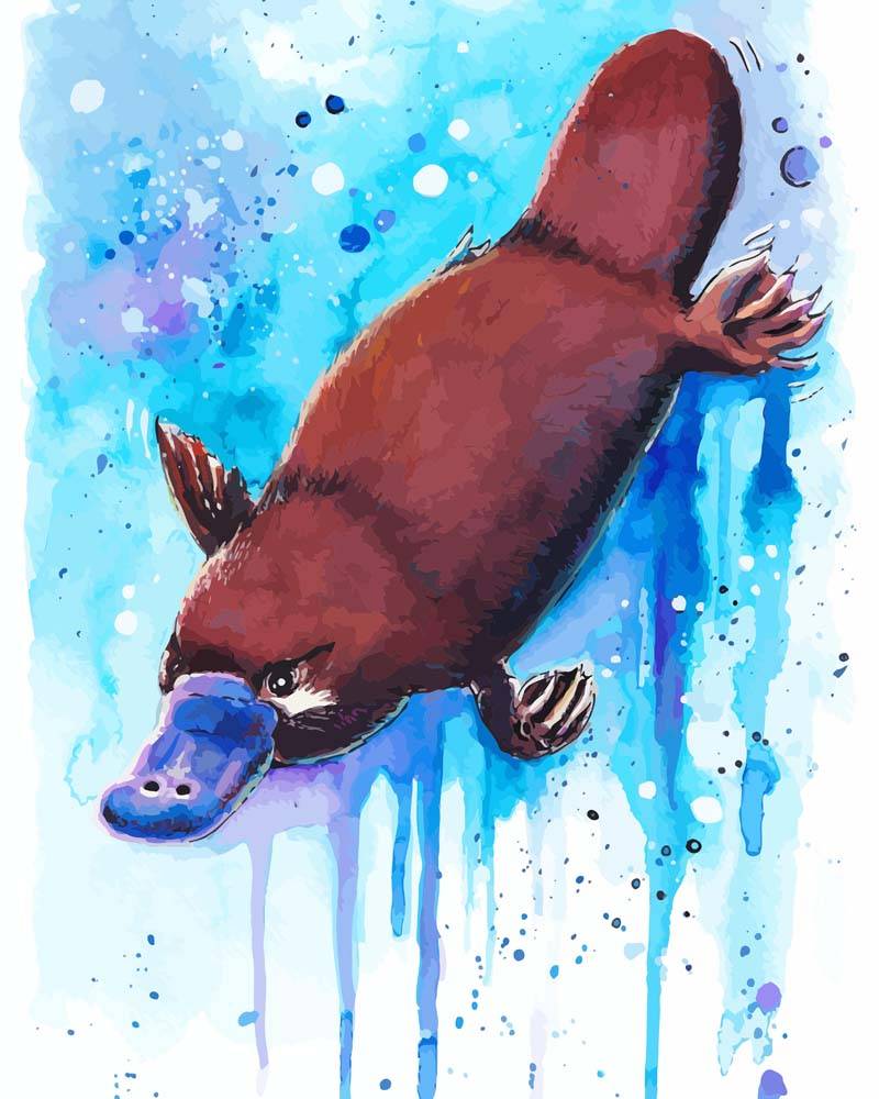 Malen nach Zahlen - Schnabeltier - by Tiny Tami, ohne Rahmen von Tiny Tami