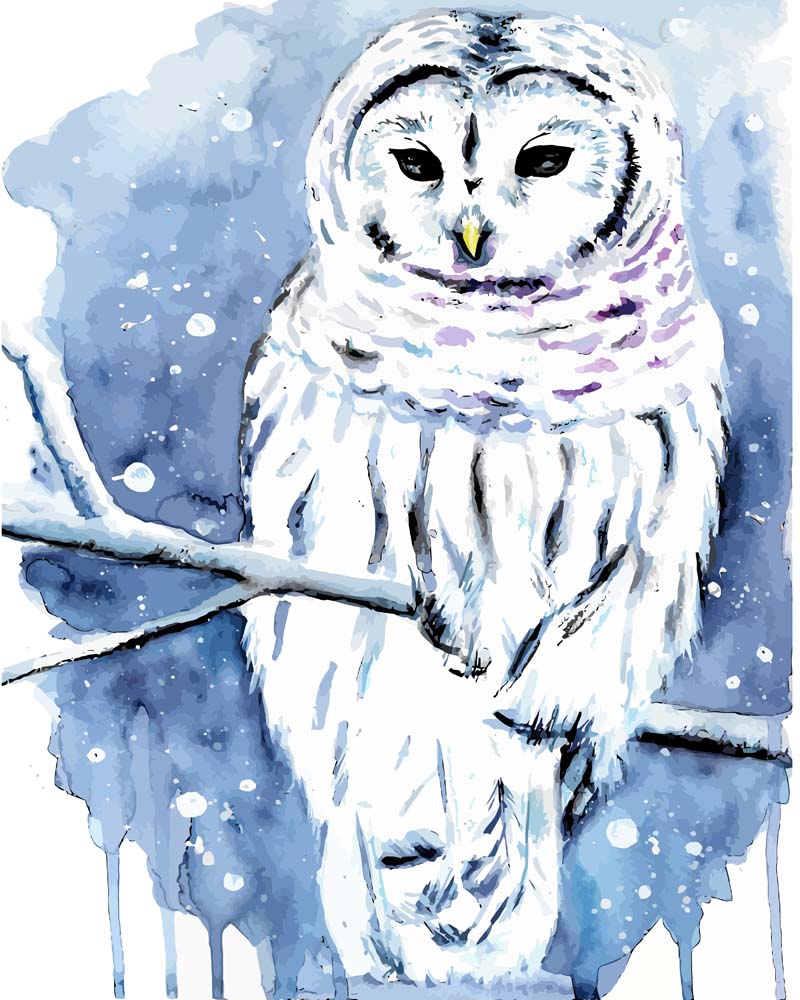 Malen nach Zahlen - Streifenkauz - by Tiny Tami, ohne Rahmen Malen nach Zahlen - Streifenkauz - by Tiny Tami, ohne Rahmen von Tiny Tami