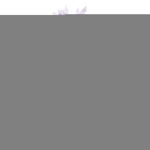 Tioheam Hexenbesen,Halloween Besen Deko - Deko Für Verkleidungsspiel Kostüme Cosplay Bühnenauftritte Gruselhaus Halloween Partys Tioheam Hexenbesen,Halloween Besen Deko - Deko Für Verkleidungsspiel Kostüme Cosplay Bühnenauftritte Gruselhaus Halloween Partys von Tioheam