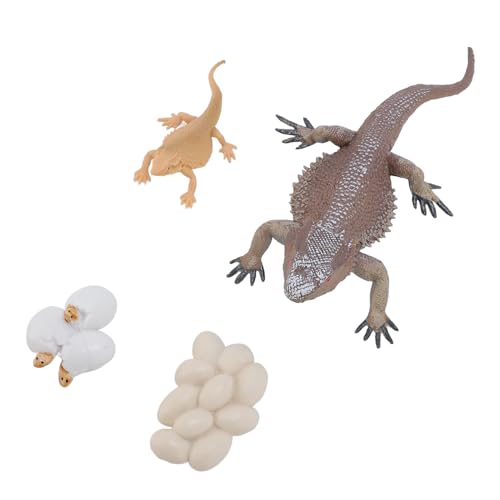 Tissting Eidechsenlebenszyklus -Set, PVC Realistic Reptile Animal Figuren Bildungsspielzeug für Kinderschule Wissenschaftlerlernen Tissting Eidechsenlebenszyklus -Set, PVC Realistic Reptile Animal Figuren Bildungsspielzeug für Kinderschule Wissenschaftlerlernen von Tissting