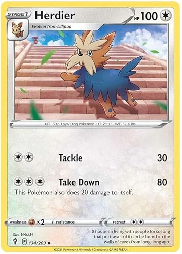 Titan Cards Herdier 134/203 Uncommon Pokemon Card (SWSH Evolving Skies) Toploader von Titan Cards