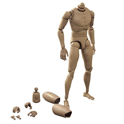 Tiuimk 1/6 Maßstab männliche schmale Schulter Figur für 1/6 Actionfiguren - PVC/ABS Material, mehrfarbig, Einheitsgröße von Tiuimk