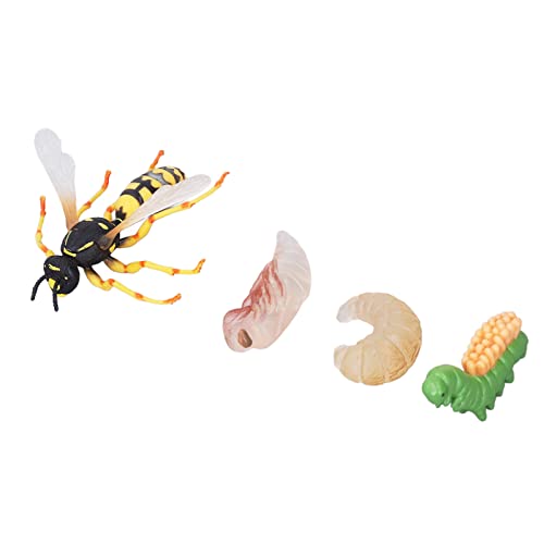 Tixiyu WASP -Bienenwachstumszyklusmodell, Simulation Lebensee Handlungsfiguren Spielzeuggeschenke für Schlafzimmer, Studium, Wohndekorationen, Tischrequisiten, Ausstellungsspielzeug Tixiyu WASP -Bienenwachstumszyklusmodell, Simulation Lebensee Handlungsfiguren Spielzeuggeschenke für Schlafzimmer, Studium, Wohndekorationen, Tischrequisiten, Ausstellungsspielzeug von Tixiyu