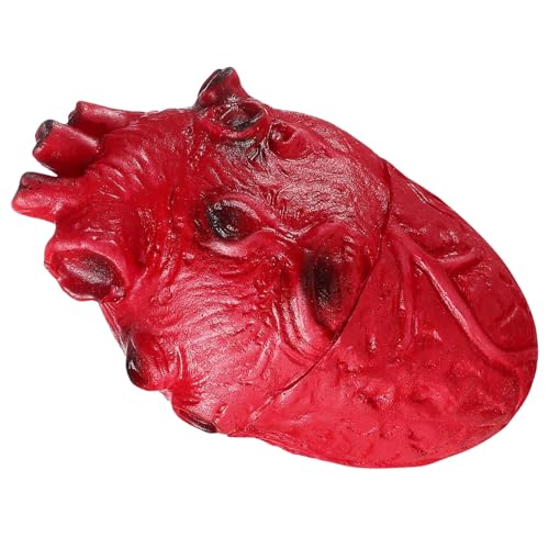 Menschliches Herzmodell für Halloween-Party-Dekoration und erschreckende schreckliche Körperteil-Simulations-Event-Partyzubehör, realistisches Herz Menschliches Herzmodell für Halloween-Party-Dekoration und erschreckende schreckliche Körperteil-Simulations-Event-Partyzubehör, realistisches Herz von Tkidplw