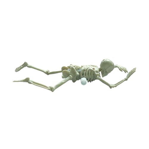 Tktouci Kinder Aufzieh Skelett Spielzeug | Aufziehbare Skelett Halloween Deko,Schaurige Schreibtisch Deko Für Party Wohnzimmer Büro Kinder Mädchen Tktouci Kinder Aufzieh Skelett Spielzeug | Aufziehbare Skelett Halloween Deko,Schaurige Schreibtisch Deko Für Party Wohnzimmer Büro Kinder Mädchen von Tktouci