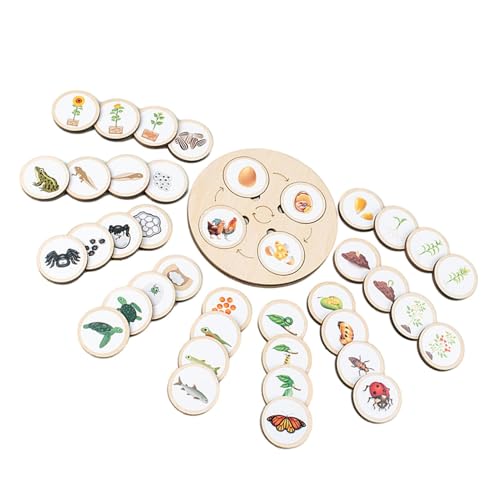 Tktouci Lebenszyklus-Puzzle-Kit | Kleinkind Holzpuzzle Spielzeug Lebenszyklus - Kleinkind-Puzzle-Entwicklungsspielzeug, frühes Lernspielzeug für 2 bis 6 Jahre alte Vorschulkinder Tktouci Lebenszyklus-Puzzle-Kit | Kleinkind Holzpuzzle Spielzeug Lebenszyklus - Kleinkind-Puzzle-Entwicklungsspielzeug, frühes Lernspielzeug für 2 bis 6 Jahre alte Vorschulkinder von Tktouci