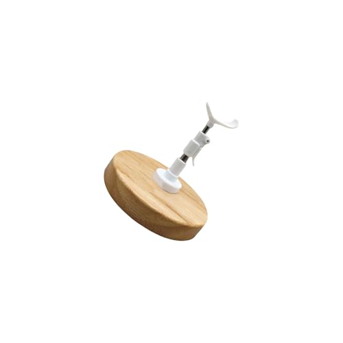 Tmboryuu 1/3 /4/6 /8 Doll Displayhalter Mit Holzbasi von Tmboryuu