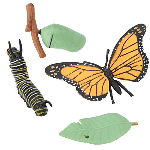 Insektenmodell, Schmetterlingsmodell, Helfen Sie Kindern, Tiereltern für zu erkennen Insektenmodell, Schmetterlingsmodell, Helfen Sie Kindern, Tiereltern für zu erkennen von Tnfeeon