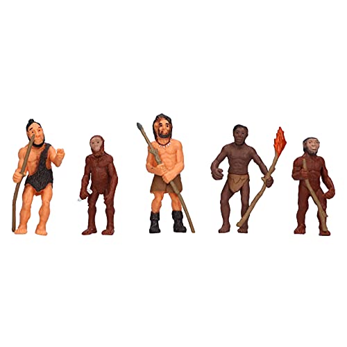 Tnfeeon Menschliche Figur Spielzeug, Evolution des Menschen Simulierte Menschen Figur Antike Menschliche Statue Spielzeug Wohnkultur Tnfeeon Menschliche Figur Spielzeug, Evolution des Menschen Simulierte Menschen Figur Antike Menschliche Statue Spielzeug Wohnkultur von Tnfeeon