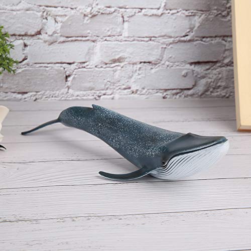 Wal Figuren Spielzeug, realistische Feste Kunststoff Ozean Meerestiere Fisch Modell prähistorische Tierwelt Kreaturen für Kinder Mädchen Party Favors Wal Figuren Spielzeug, realistische Feste Kunststoff Ozean Meerestiere Fisch Modell prähistorische Tierwelt Kreaturen für Kinder Mädchen Party Favors von Tnfeeon