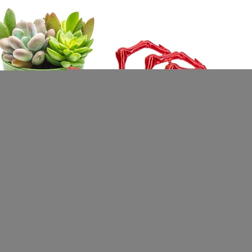 TocaFeank Spinnen-Fidget-Spielzeug, 3D-gedrucktes Spinnen-Fidget | Executive Desk Toys Riesenspinne | Mystery Spider 3D-bewegliche Spinne für Erwachsene, Schreibtischspielzeug für das Klassenzimmer von TocaFeank
