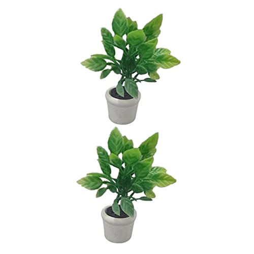 2Stücke Mini Bonsai Künstliche Topfpflanze für Puppenhaus Dekoration Realistische Pflanzen für Diorama Modelle und Puppenhaus Zubehör 2Stücke Mini Bonsai Künstliche Topfpflanze für Puppenhaus Dekoration Realistische Pflanzen für Diorama Modelle und Puppenhaus Zubehör von Toddmomy