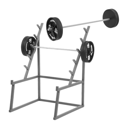 Toddmomy 1 Satz Fitness-langhantelmodell Sportzubehör Für Puppenstuben Puppenhaus-langhantelmodell Miniatur-langhantel Puppen-langhantelmodell Miniatur-hanteln Deko Black Plastik von Toddmomy