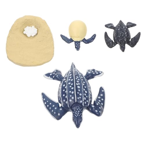 Toddmomy 1 Satz Simulation Schildkröten Spielzeugen Modell zur Tierentwicklung für Teiliges Lernspielzeug zur Veranschaulichung des Wachstumszyklus von Schildkröten von Toddmomy