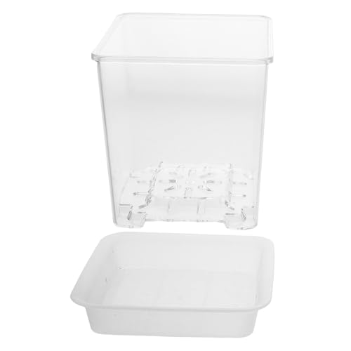 Toddmomy 1 Set Transparenter Kindergartentopf Für Pflanzen, Kunststoff-blumentopf Mit Drainagelöchern, Rechteckiger Hydrokulturtopf, Blumenbehälter Für Die Keimung Von Gartenpflanzen Toddmomy 1 Set Transparenter Kindergartentopf Für Pflanzen, Kunststoff-blumentopf Mit Drainagelöchern, Rechteckiger Hydrokulturtopf, Blumenbehälter Für Die Keimung Von Gartenpflanzen von Toddmomy