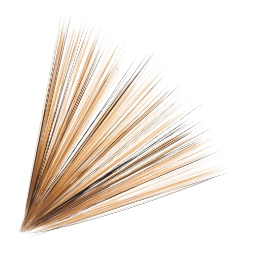 Toddmomy 1 Simulierte Katzenschnurrhaare bastelbedarf simulierte Whiskers falsche Schnurrhaare verrückte Schnurrhaare Katzenschnurrhaare zum Nadelfilzen Filzschnurrhaare Plastik Light Brown von Toddmomy