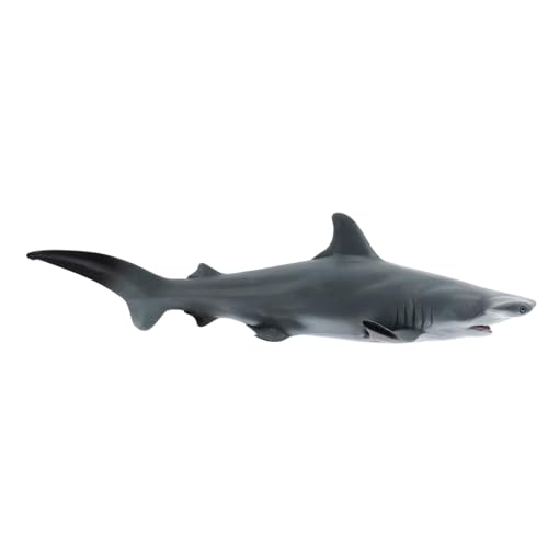 Toddmomy Haifigur Spielzeug für Kinder Simulation Marine Ebene Modell Robustes Meerestier Spielzeug Detailgetreue Haifigur Lehrreiches Tierspielzeug für Meeres Lernspiele von Toddmomy