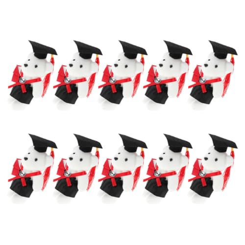 Toddmomy 10 Stück Graduierte Doktorbär Puppe Abschluss Bär Grad Blumenstrauß Abschluss-blumenstrauß-zubehör Abschlussblumenstrauß Bärenpuppenstrauß Bärenstrauß Vlies von Toddmomy