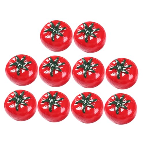 Toddmomy 10 Stück Künstliche Kleiner Tomaten Realistische Obstdekoration Lebensnahe Simulationstomaten für Puppenhäuser und Tischdekoration von Toddmomy