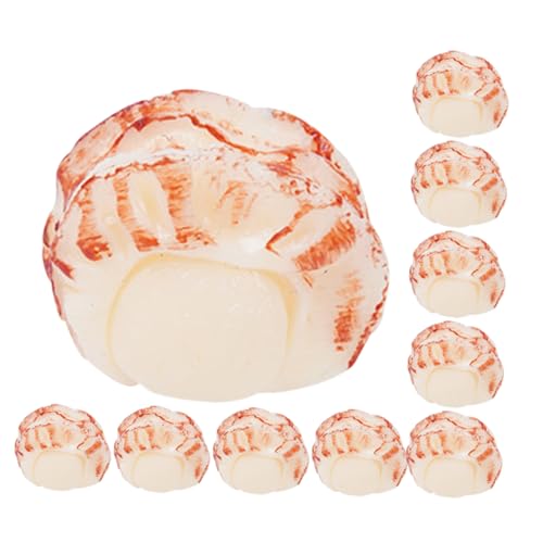 Toddmomy 10 Stück Künstliches Jakobsmuschelfleisch: Miniatur-lebensmittelmodell-Spielzeug Für Kinderküchen, DIY-basteln Und Realistisches Kocherlebnis Für Kinderpartys von Toddmomy