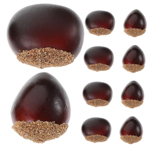 Toddmomy 10 Stück Teiliges Künstliche Kastanien und Nüsse Realistische Dekorationen für Herbstpartys und Weihnachten Langlebige Deko Modelle für Hochzeiten und Fotoshootings Zuhause von Toddmomy