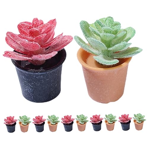 Toddmomy 12Stücke Bonsai Pflanzen Teiliges Kunstpflanzen Für Miniaturgärten Und Puppenhäuser Für Gartenlandschaftsgestaltung Und Wohnaccessoires Toddmomy 12Stücke Bonsai Pflanzen Teiliges Kunstpflanzen Für Miniaturgärten Und Puppenhäuser Für Gartenlandschaftsgestaltung Und Wohnaccessoires von Toddmomy