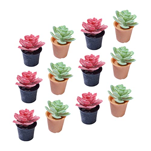 Toddmomy 12Stücke Pflanzenmodell Teiliges Bonsai Figuren für Puppenhaus Garten Künstliche Pflanzen Deko für Schlafzimmer Wohnzimmer Büro Mehr Toddmomy 12Stücke Pflanzenmodell Teiliges Bonsai Figuren für Puppenhaus Garten Künstliche Pflanzen Deko für Schlafzimmer Wohnzimmer Büro Mehr von Toddmomy