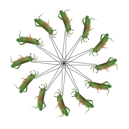 Toddmomy 12 Stück Realistische Heuschrecken Spielzeug für Kinder Multifunktionales Insekten Lernspielzeug Pädagogisches Wissenschaftsspielzeug Dekoration für Partys und Experimente von Toddmomy