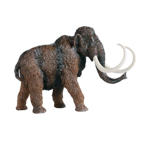 Toddmomy 1Pc Modell Tier Tiermodell Ornamente Tiererkennung Lernspielzeug Modell Simulation Tiermodell Desktop Antike Requisite Kunststoff Kaffee von Toddmomy