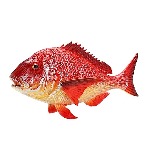 Toddmomy 1Pc Ornamente Dekorationen Figuren Aquarium Tank Fisch Modell Marine Tier Marine Tier Decor Marine Tier Ornamente Toddmomy 1Pc Ornamente Dekorationen Figuren Aquarium Tank Fisch Modell Marine Tier Marine Tier Decor Marine Tier Ornamente von Toddmomy