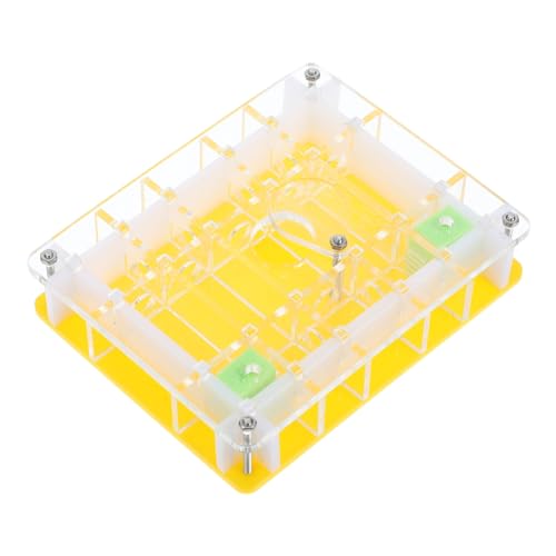 Toddmomy 1Satz Acryl Box Wissenschaftsspielzeug für Ameisenzucht und Beobachtung Transparentes Design Feuchtigkeitsspendend Langlebig und Sicher für Insektenliebhaber Toddmomy 1Satz Acryl Box Wissenschaftsspielzeug für Ameisenzucht und Beobachtung Transparentes Design Feuchtigkeitsspendend Langlebig und Sicher für Insektenliebhaber von Toddmomy