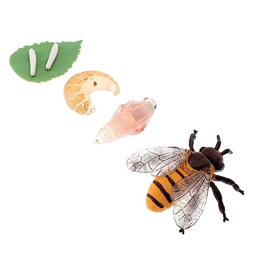 Toddmomy 1Satz Bildungsbienenmodell für Miniaturspielzeug zur Simulation des Bienenwachstumszyklus für Kreative Spiele und Schulprojekte Realistische Details Leicht von Toddmomy