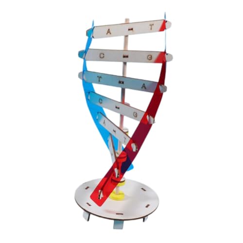 Toddmomy 1Satz DIY Holzspielzeug DNA Doppelhelix Modellbausatz Lehrmittel für Genetischen Wissenschaft Sicheres Holzmaterial Kreatives Lernen Toddmomy 1Satz DIY Holzspielzeug DNA Doppelhelix Modellbausatz Lehrmittel für Genetischen Wissenschaft Sicheres Holzmaterial Kreatives Lernen von Toddmomy