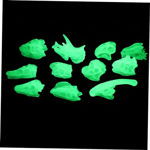 Toddmomy 1Satz Dinosaurier Knochenmodell Nachleuchtendes Dinosaurierschädel für Bildungsspielzeug für Kreative Entdeckungen für Spiel und Dekoration Toddmomy 1Satz Dinosaurier Knochenmodell Nachleuchtendes Dinosaurierschädel für Bildungsspielzeug für Kreative Entdeckungen für Spiel und Dekoration von Toddmomy