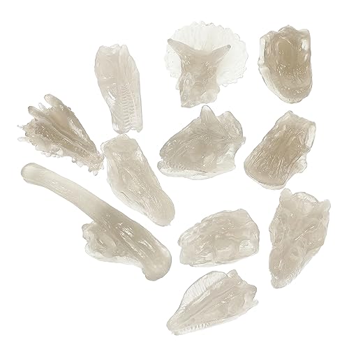 Toddmomy Leuchtender Dinosaurierschädel Modell aus PVC Dinosaurier Spielzeug für Kinder Nachtleuchtendes Fossil Dinosaurierknochen Spielzeug zur Kreativität und Intelligenz von Toddmomy