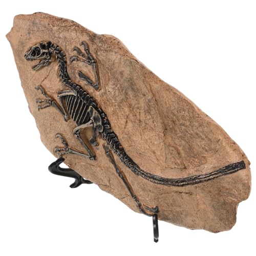 Toddmomy 1Satz Fossil Modell Harz Realistische Dekoration für Kindergeburtstage und Garten Einzigartiges Exemplar Antiken Lebensformen Ansprechendes Lernspielzeug von Toddmomy