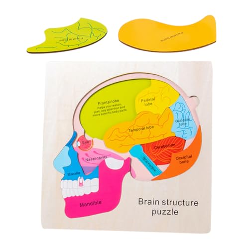 Toddmomy 1Satz Gehirnstruktur Holzpuzzle für Interaktives Kognitionsspielzeug Logischem und Kreativität Geeignet für Frühe Bildung und Eltern Junge Mädchen Toddmomy 1Satz Gehirnstruktur Holzpuzzle für Interaktives Kognitionsspielzeug Logischem und Kreativität Geeignet für Frühe Bildung und Eltern Junge Mädchen von Toddmomy