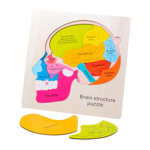 Toddmomy 1Satz Holzpuzzle Gehirnstruktur für Kreatives Lernspielzeug Vorstellungskraft und Praktischen Fähigkeiten Montessori für Kleinkinder Ab Jahren Toddmomy 1Satz Holzpuzzle Gehirnstruktur für Kreatives Lernspielzeug Vorstellungskraft und Praktischen Fähigkeiten Montessori für Kleinkinder Ab Jahren von Toddmomy