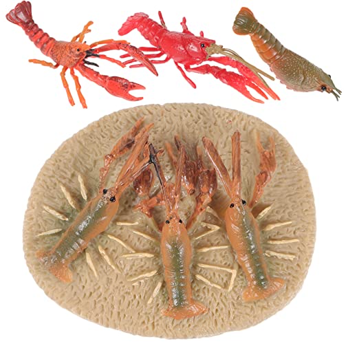 Toddmomy 1Satz Hummer Wachstumszyklus Modellset Für Teiliges Lernspielzeug Biologischem Und Kognitiven Fähigkeiten Realistische Tierfiguren Für Kreatives von Toddmomy