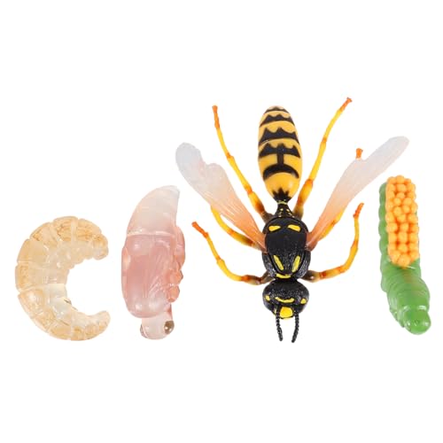 Toddmomy 1Satz Insektenwachstumsmodell Teiliges Kognitives Lernspielzeug Für Simulierte Wespenfiguren Naturerforschung Und Dekoratives Ornament Im Kinderzimmer von Toddmomy