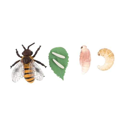 Toddmomy 1Satz Künstliche Honigbiene Lebenszyklus Modellspielzeug Realistische Insektenfiguren für Pädagogisches Lernspielzeug Naturverständnis und Biologischer Erkenntnis Toddmomy 1Satz Künstliche Honigbiene Lebenszyklus Modellspielzeug Realistische Insektenfiguren für Pädagogisches Lernspielzeug Naturverständnis und Biologischer Erkenntnis von Toddmomy