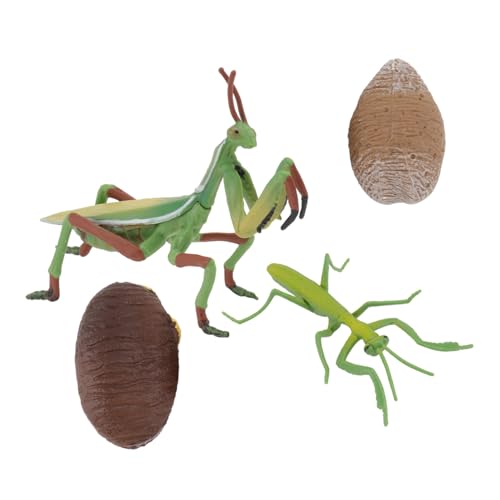 Toddmomy 1Satz Mantis Modell Pädagogisches Insektenfiguren für Realistische Nachbildung des Lebenszyklus Leicht und Tragbar für Kindergarten und Sammlung Kreatives von Toddmomy