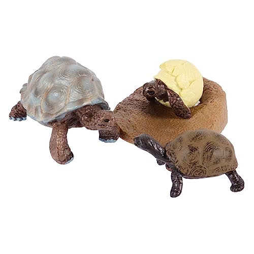 Toddmomy 1Satz Schildkröten Lebenszyklus Modell Figuren Kognitive Spielzeuge für Dekoratives Lehrmodell Sicheres und Langlebiges Plastik für Kreative Lernaktivitäten Toddmomy 1Satz Schildkröten Lebenszyklus Modell Figuren Kognitive Spielzeuge für Dekoratives Lehrmodell Sicheres und Langlebiges Plastik für Kreative Lernaktivitäten von Toddmomy