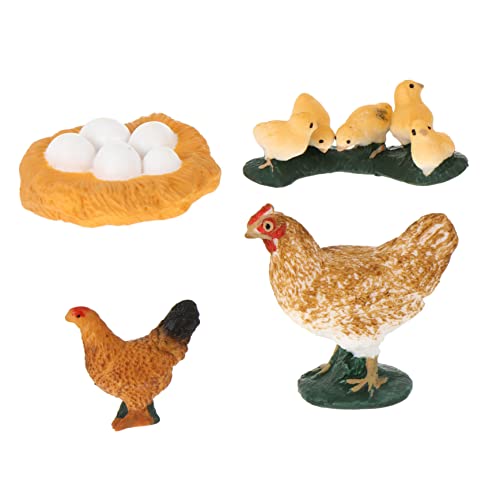 Toddmomy 1Satz Teiliges Huhn Lebenszyklus Modell für Lernspielzeug zur Kognitiver Fähigkeiten aus Sicherem Dekorative Figur für Zuhause von Toddmomy