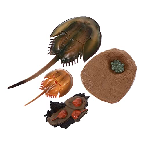 Toddmomy Kleiner Kreaturen Spielset für Kinder Realistische Meerestiere Lernspielzeug für Kognitive Fähigkeiten Umweltfreundliches Tiermodell für Jungen und Mädchen Toddmomy Kleiner Kreaturen Spielset für Kinder Realistische Meerestiere Lernspielzeug für Kognitive Fähigkeiten Umweltfreundliches Tiermodell für Jungen und Mädchen von Toddmomy